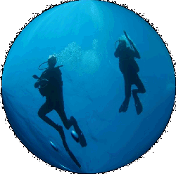 Click for Diving